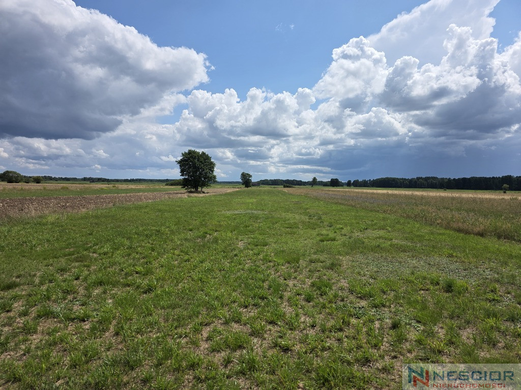 Działka Sprzedaż Dobrzanów