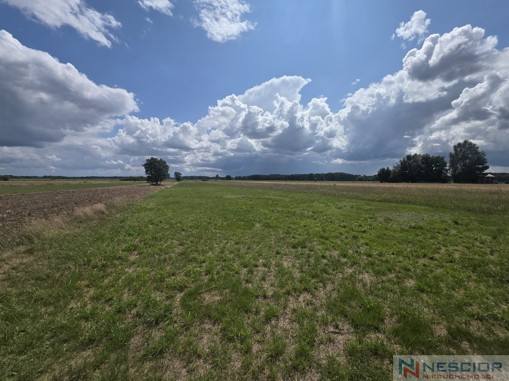 Działka Sprzedaż Dobrzanów