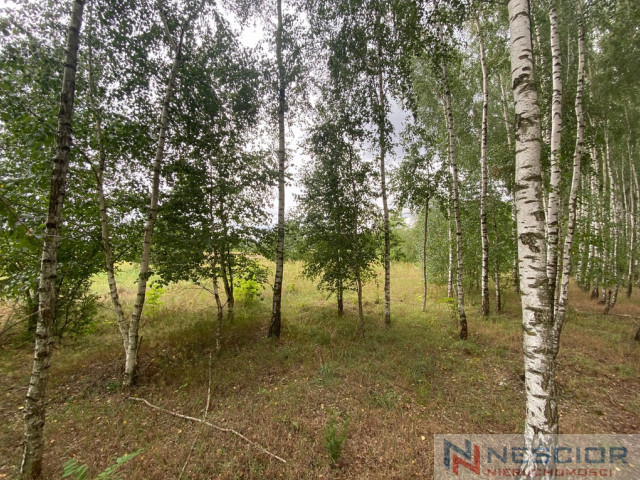 Działka budowlana w Gołąbku 1514m²!!!