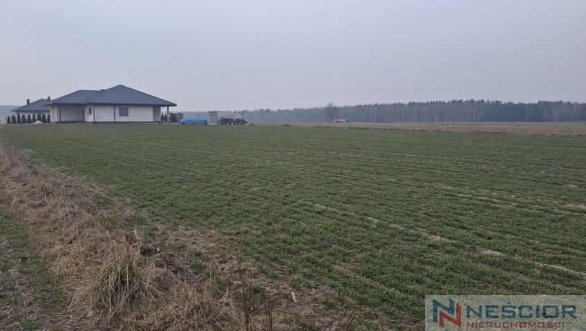Działka Sprzedaż Boroszków