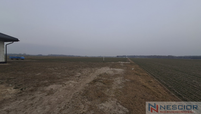 Działka Sprzedaż Boroszków