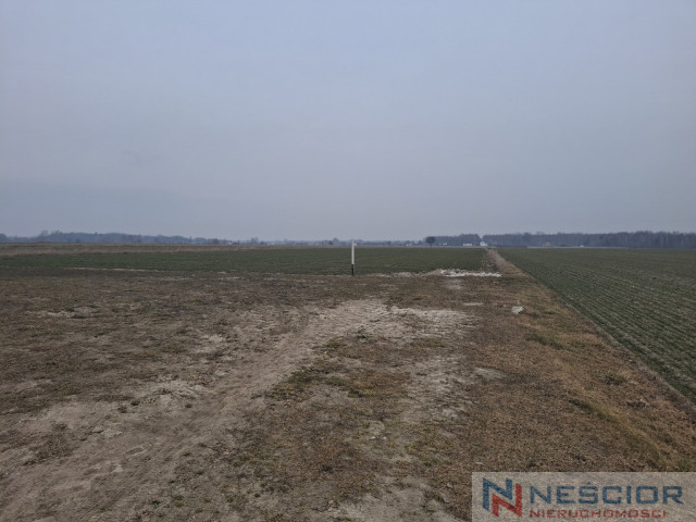 Działka Sprzedaż Boroszków