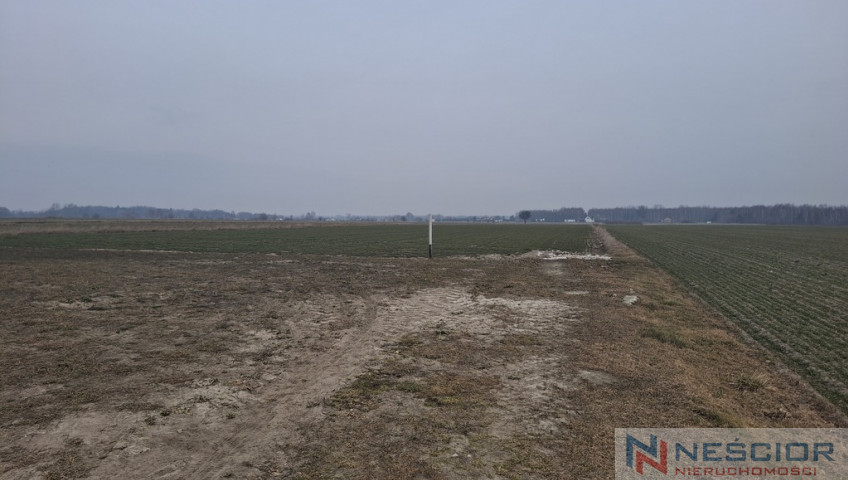 Działka Sprzedaż Boroszków