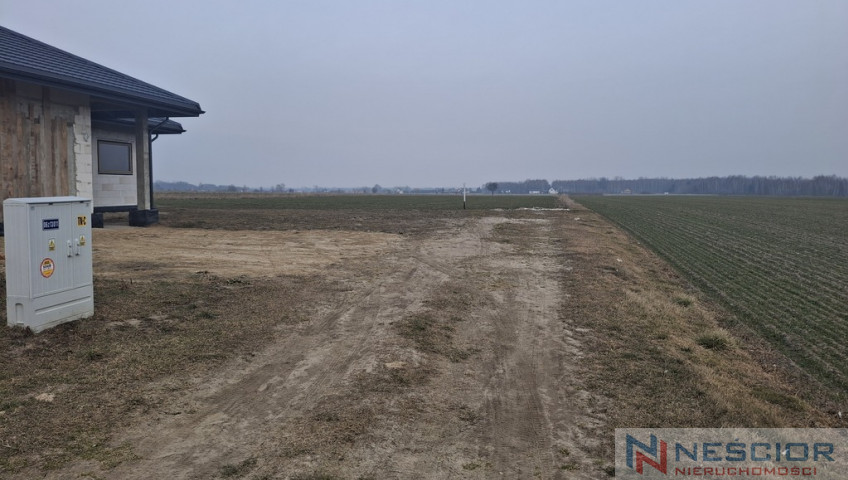 Działka Sprzedaż Boroszków