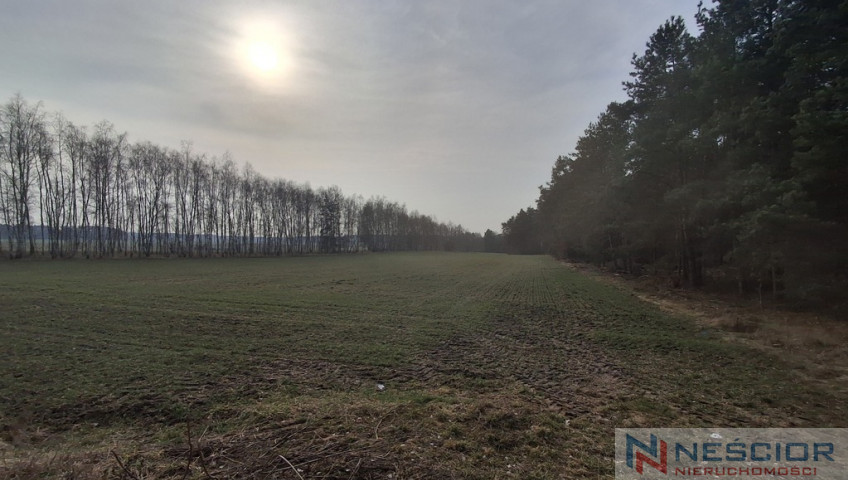 Działka Sprzedaż Boroszków
