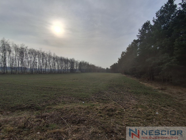 Działka Sprzedaż Boroszków