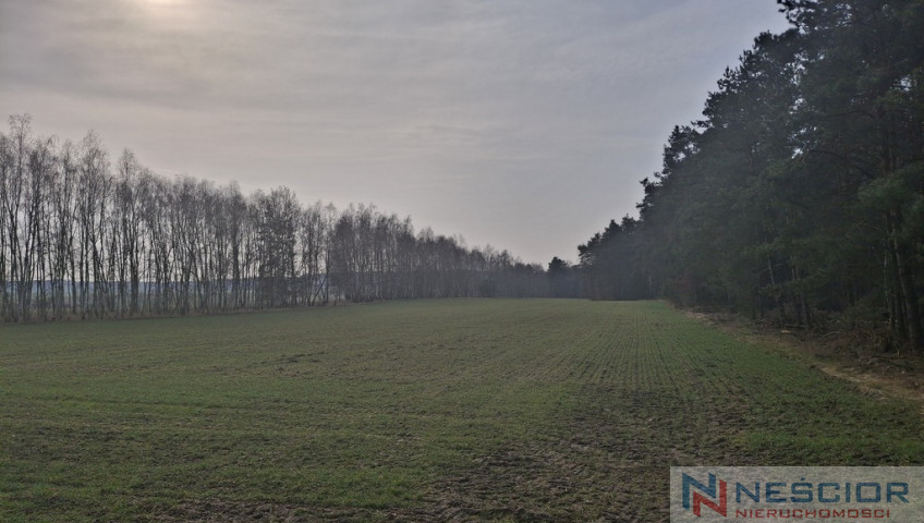 Działka Sprzedaż Boroszków