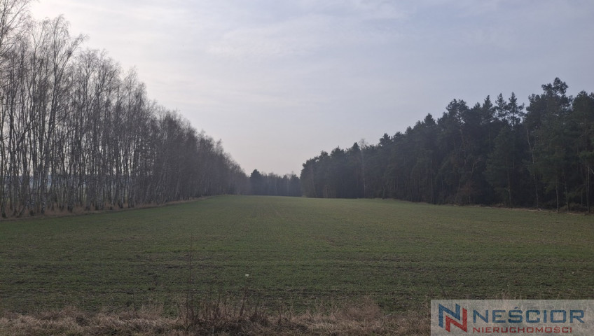 Działka Sprzedaż Boroszków