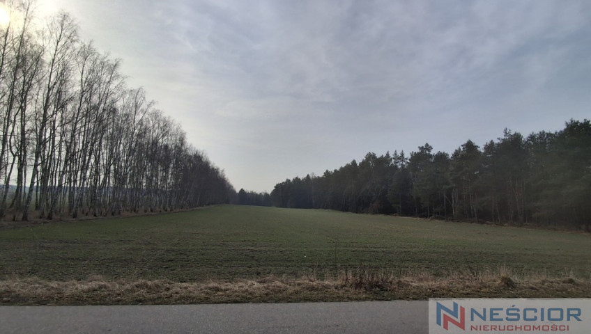 Działka Sprzedaż Boroszków