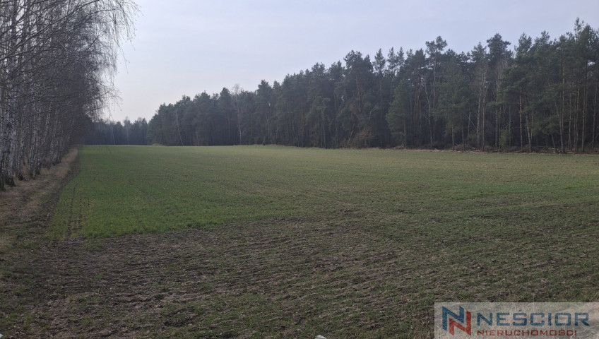 Działka Sprzedaż Boroszków