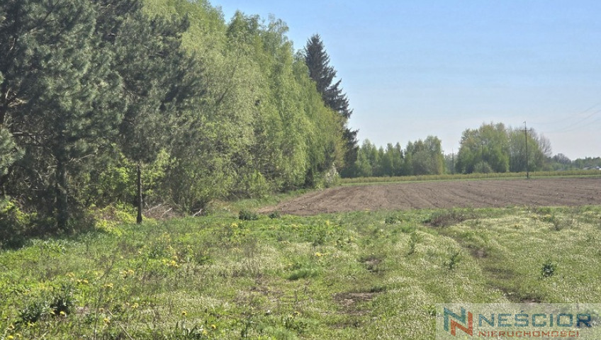 Plot Sale Klimonty