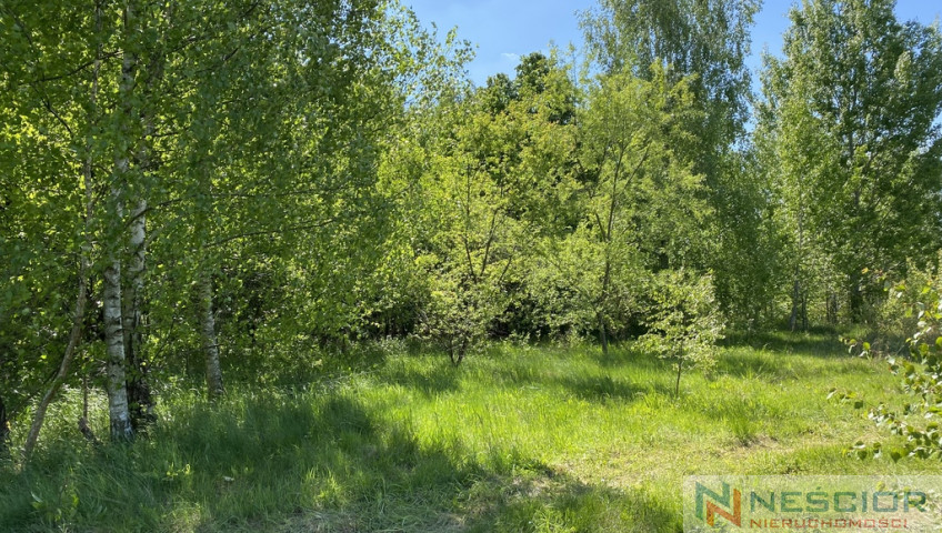 Участок Продажа Przywory Duże