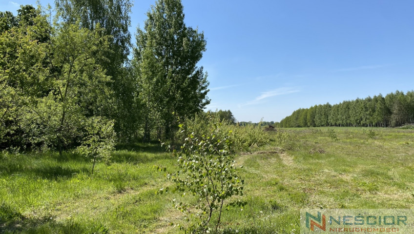 Участок Продажа Przywory Duże