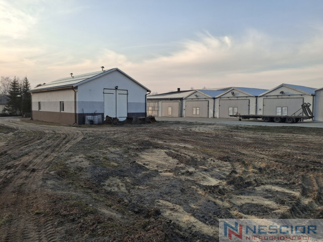 Plot Sale Cisie-Zagrudzie