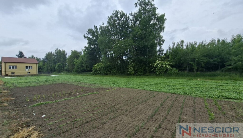Plot Sale Stok Lacki Siedlecka