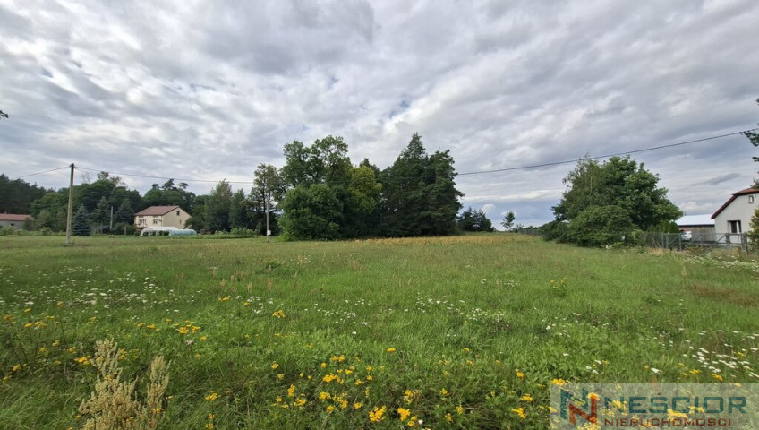 Plot Sale Polaki