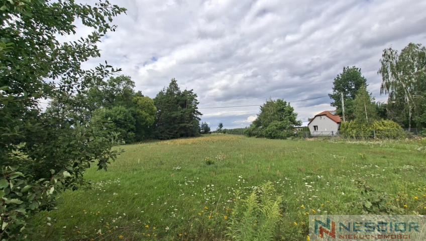 Plot Sale Polaki