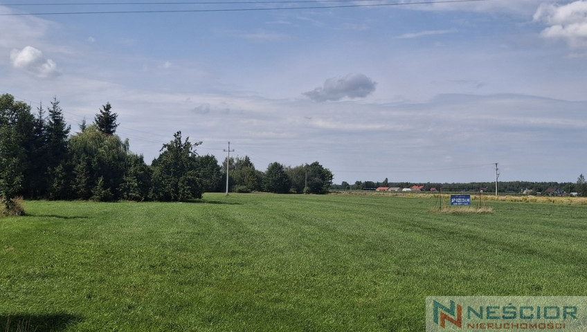 Działka Sprzedaż Żelków-Kolonia Wesoła