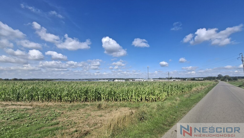 Участок Продажа Suchożebry Słoneczna