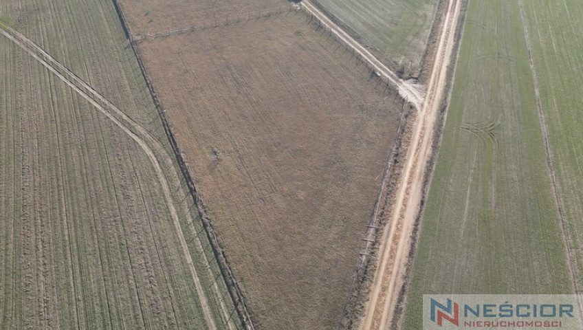 Działka Sprzedaż Maruszewiec