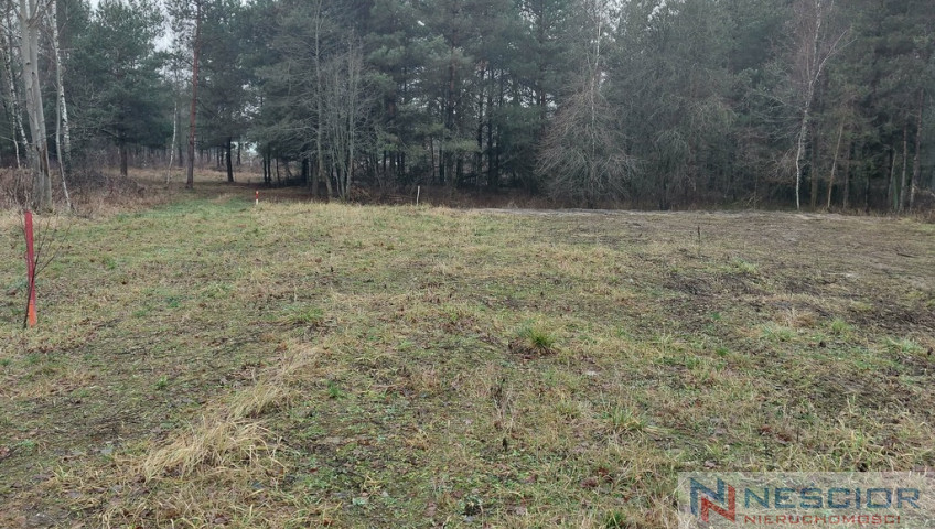 Plot Sale Woźbin