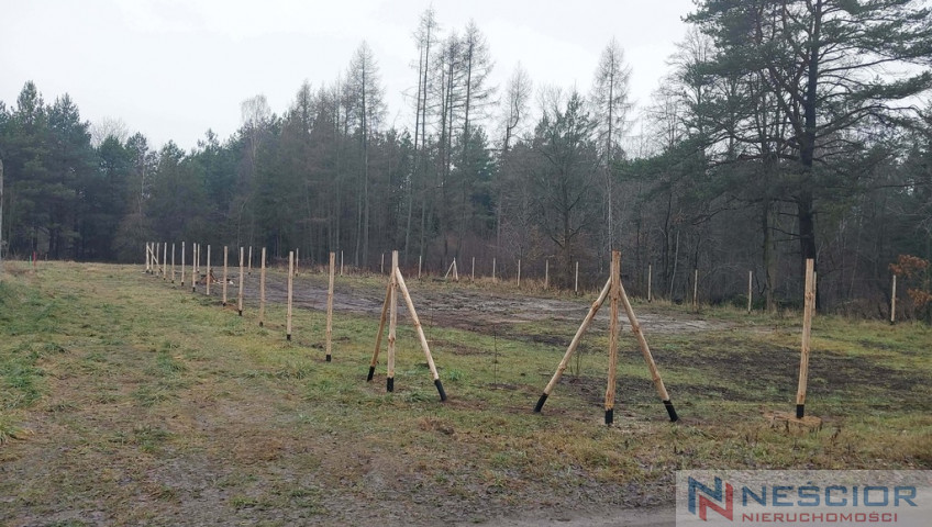 Plot Sale Woźbin