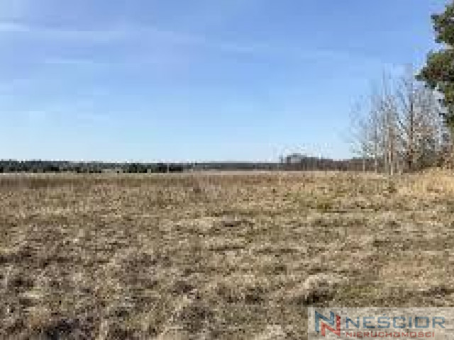 Plot Sale Żabokliki