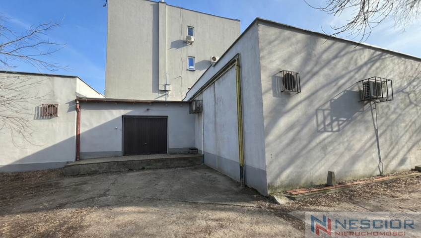 Lokal Wynajem Siedlce Brzeska