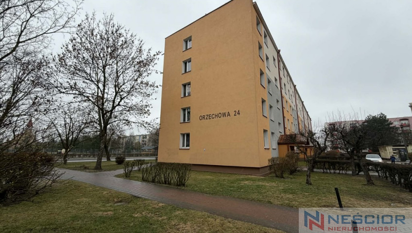 Mieszkanie Sprzedaż Biała Podlaska Orzechowa