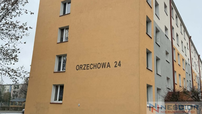 Mieszkanie Sprzedaż Biała Podlaska Orzechowa