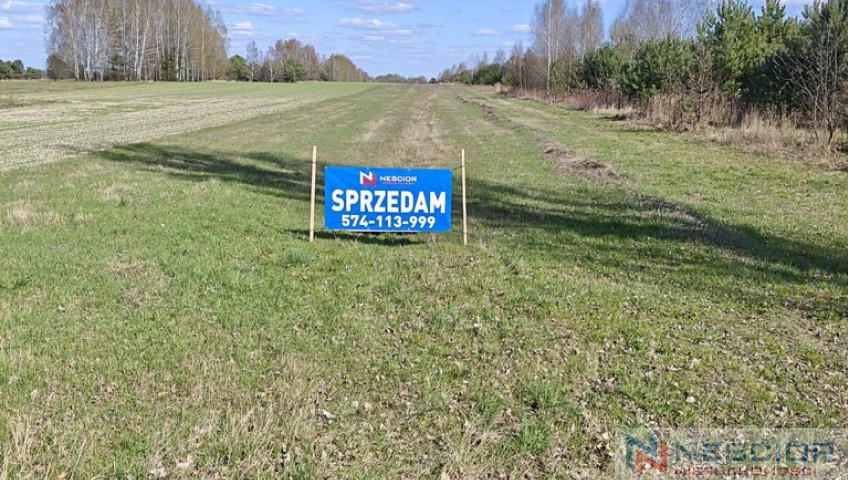 Działka Sprzedaż Dąbrowa