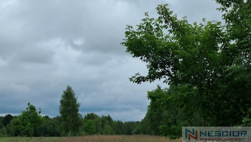 Działka Sprzedaż Tyborów