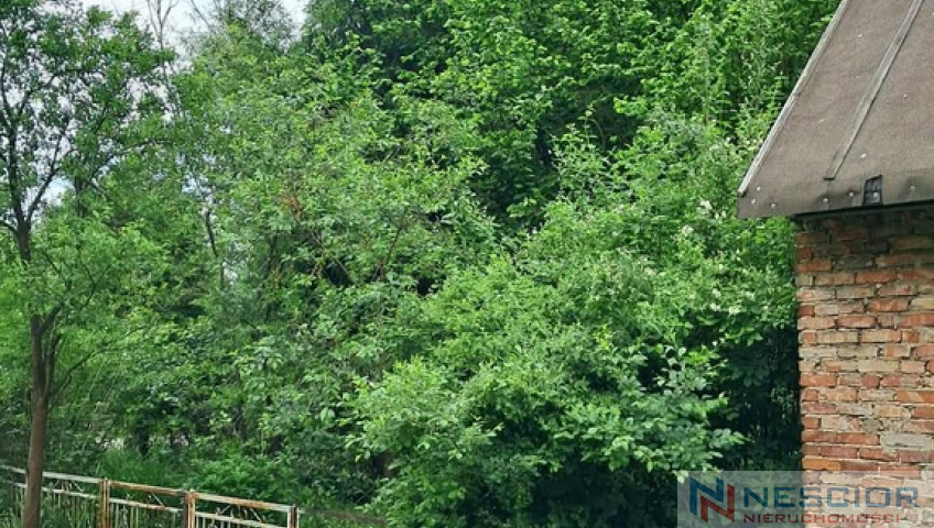 Działka Sprzedaż Tyborów