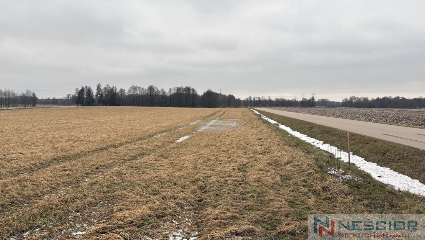 Działka Sprzedaż Wiśniew Ogrodowa