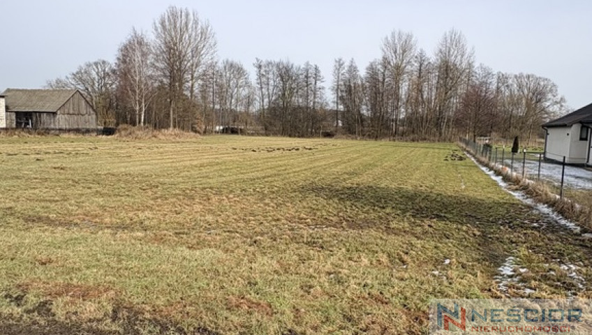 Działka Sprzedaż Sosna-Kozółki