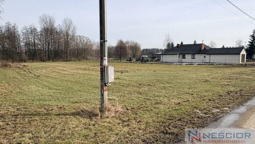 Działka Sprzedaż Sosna-Kozółki