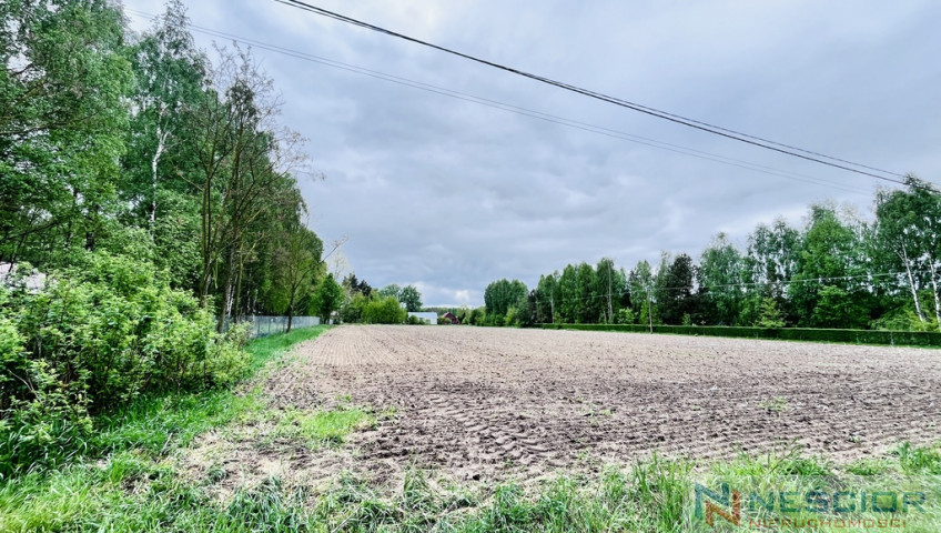Działka Sprzedaż Teodorów