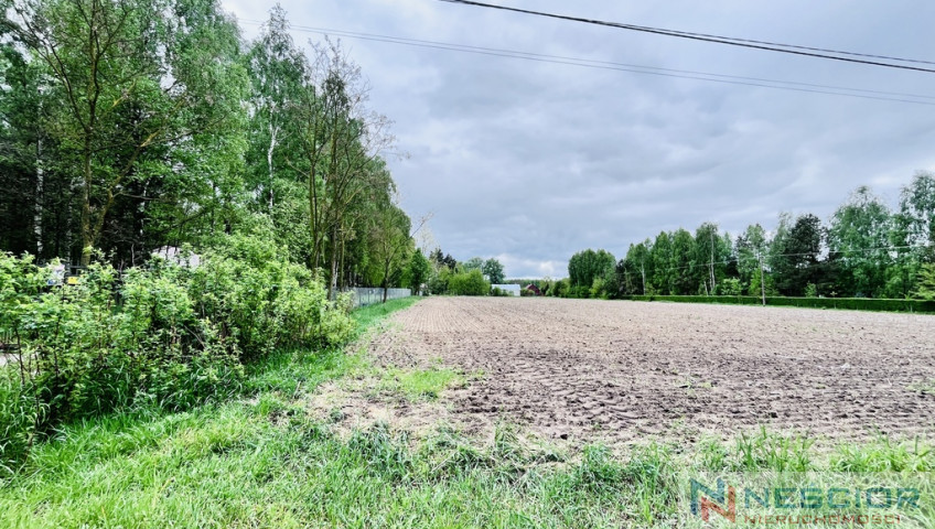 Działka Sprzedaż Teodorów