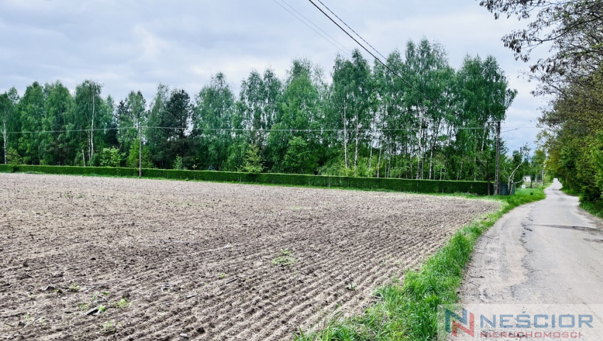 Działka Sprzedaż Teodorów
