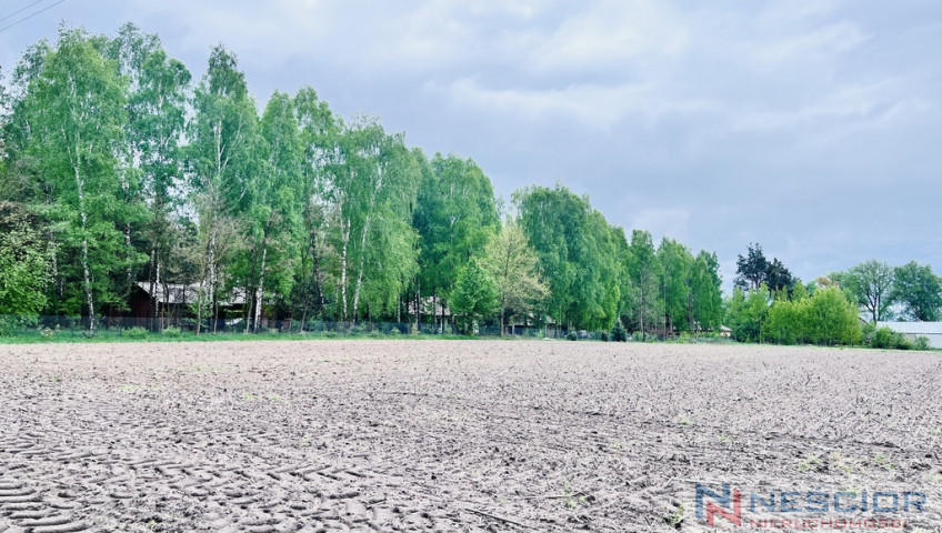 Działka Sprzedaż Teodorów