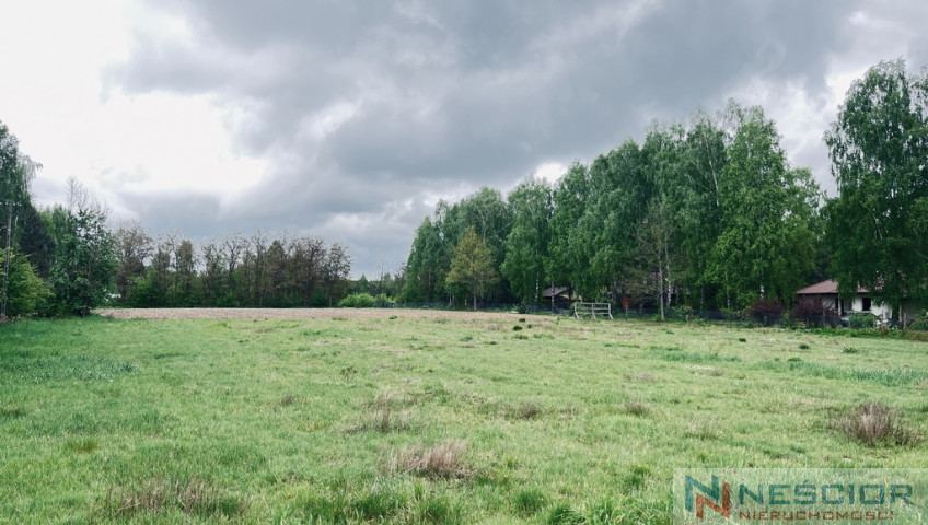Działka Sprzedaż Teodorów