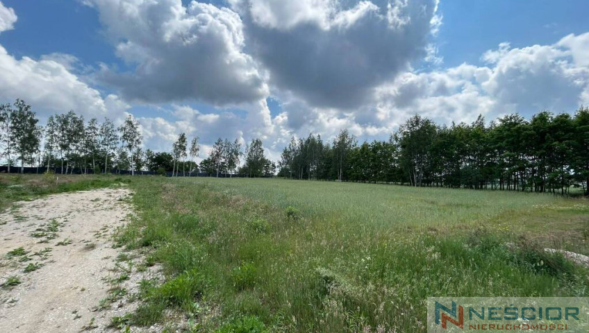 Działka Sprzedaż Żelków-Kolonia