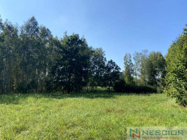 Plot Sale Zbuczyn Zarzeczna