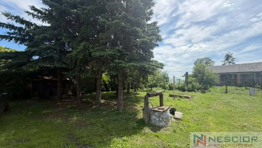 Dom Sprzedaż Mińsk Mazowiecki