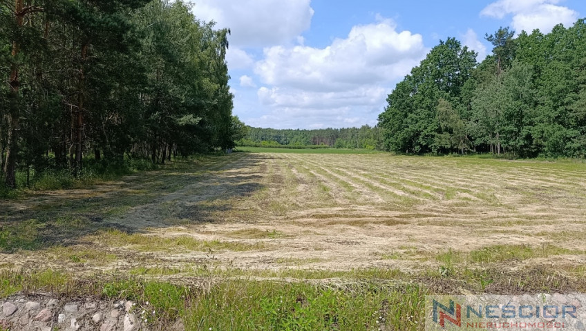 Działka Sprzedaż Błogoszcz Dębowa
