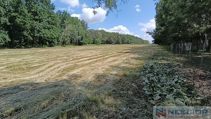 Działka Sprzedaż Błogoszcz Dębowa