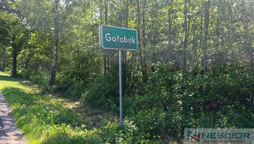 Działka Sprzedaż Gołąbek Osiedlowa