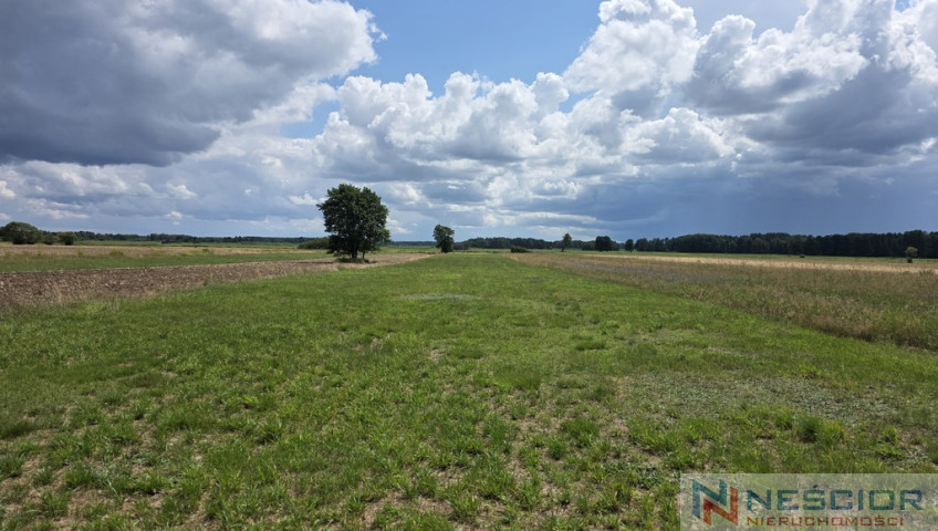 Участок Продажа Dobrzanów