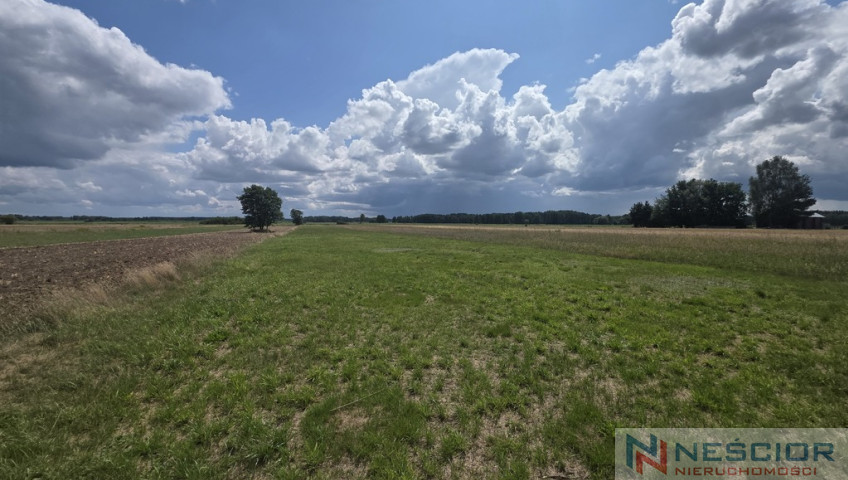 Участок Продажа Dobrzanów