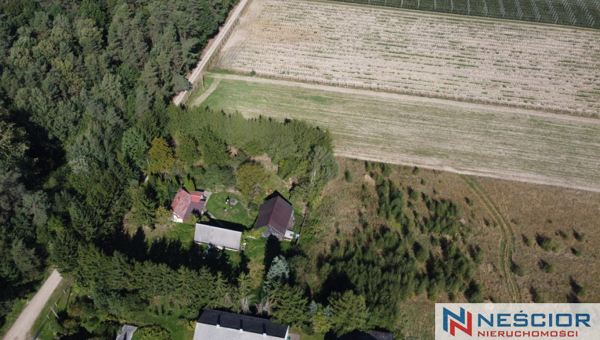 Dom Sprzedaż Dąbrowa